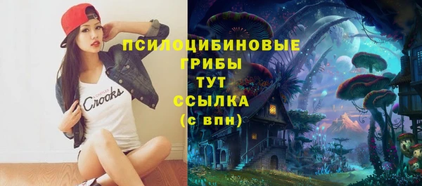 дмт Арсеньев