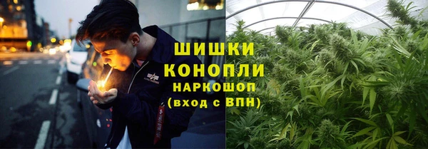 прущие крисы Аркадак