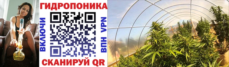 Каннабис ГИДРОПОН  darknet как зайти  Семикаракорск  наркотики 